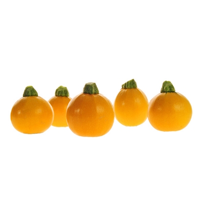 Picture of Courgette One Ball F1